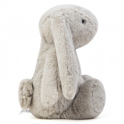 lonp eared bunny rabbit plush toy