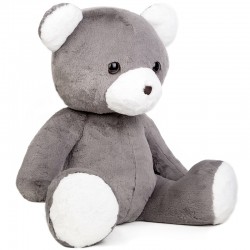 teddy bear plush toy teddy bear