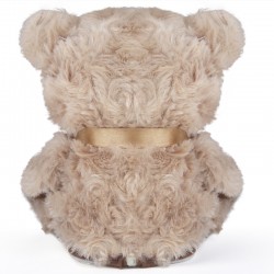 customized branded plush toy teddy bear