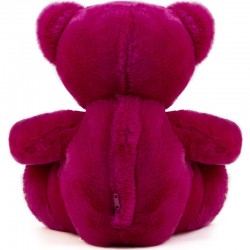 Red Rose Speaker Teddy Bear Custom Stuffed Teddy Bear