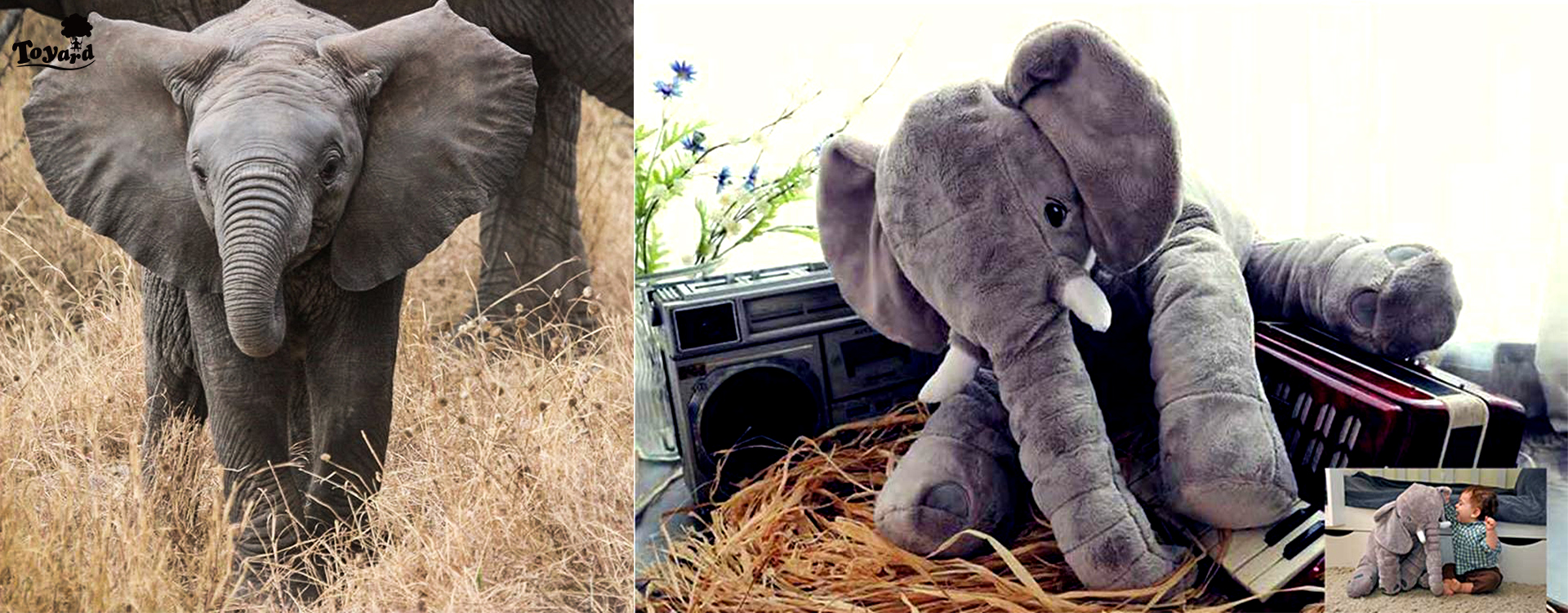 soft plushies elephant from real wild elephant to finish product