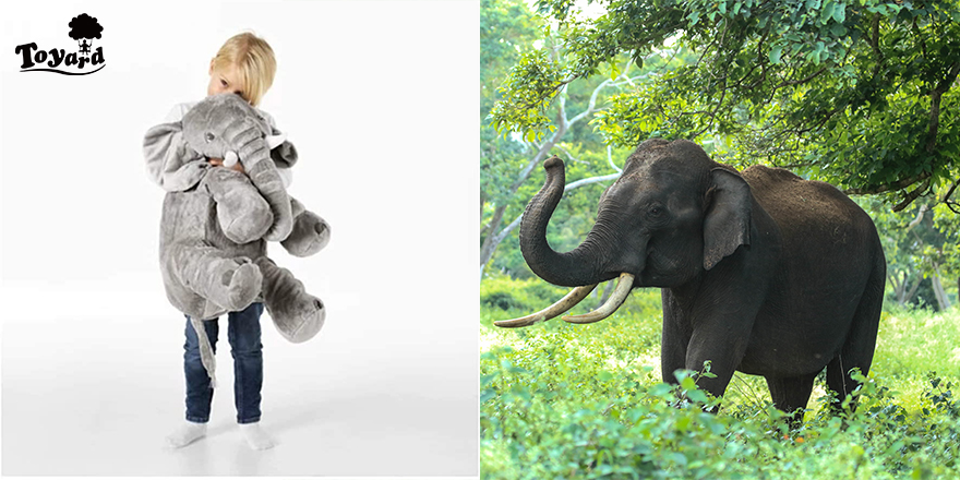 The Meaning of Having big elephant toy as souvenir